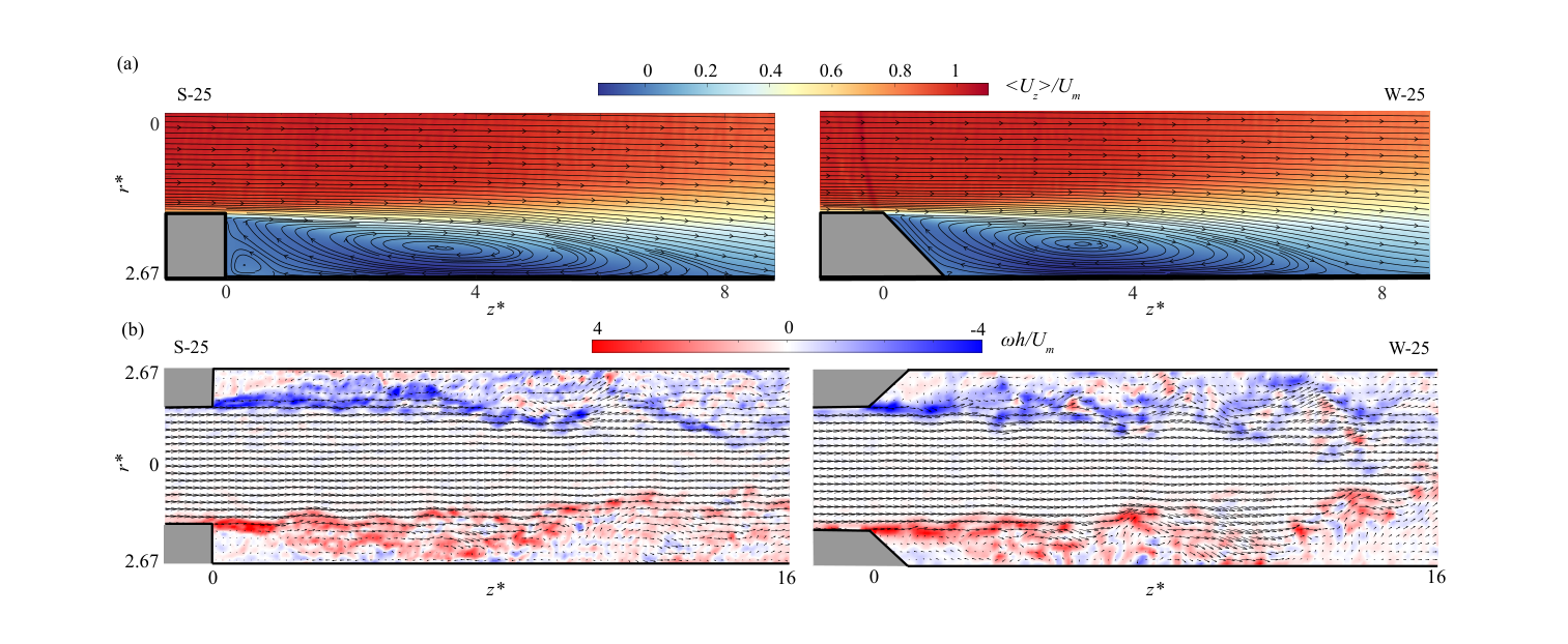Step and wedge side by side: above, mean velocity with streamlines; below, an instantaneous vorticity field with velocity vectors showing the shear layers on both sides of the pipe